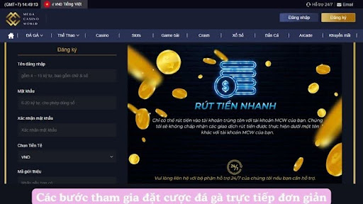 Sự đa dạng trong các cửa cược đá gà trực tiếp