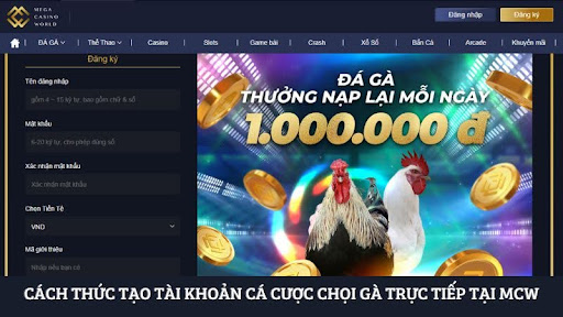 Đa dạng trận đấu chọi gà trực tiếp