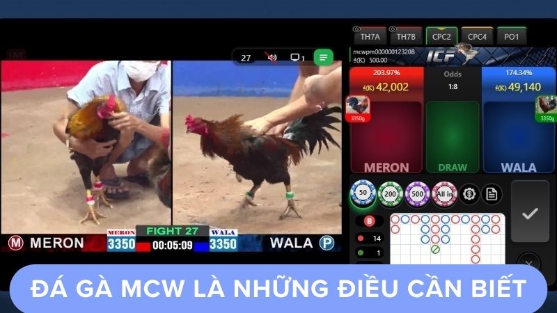 Các tính năng chính