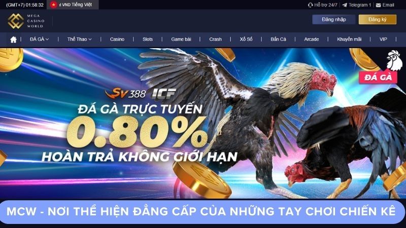 Những điều cần biết về MCW