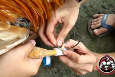 Lên Cựa Gà Chiến: Bí Quyết Tăng Uy Lực Trong Mỗi Trận Đấu