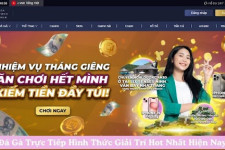 Đá Gà Trực Tiếp Hình Thức Giải Trí Hot Nhất Hiện Nay