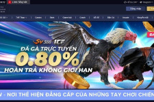 MCW - Nơi Thể Hiện Đẳng Cấp Của Những Tay Chơi Chiến Kê