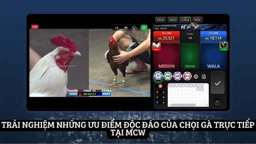 Trải nghiệm những ưu điểm độc đáo của chọi gà trực tiếp tại MCW